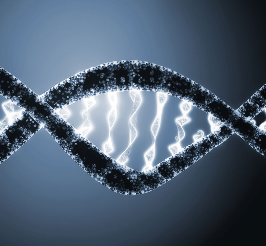 The Process of Paternity Testing: What to Expect